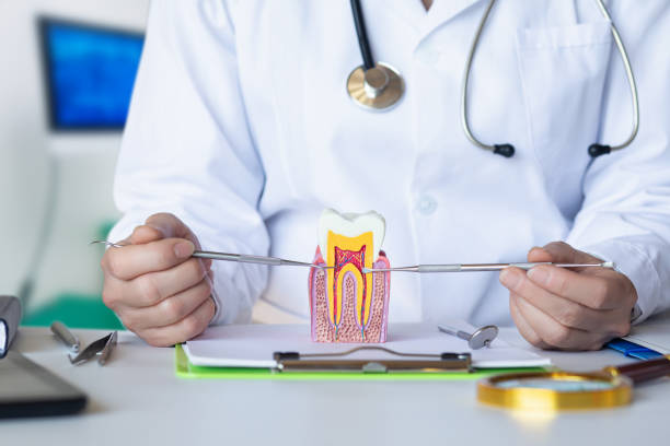 Best Urgent Dental Care for Toothache in Madill, OK